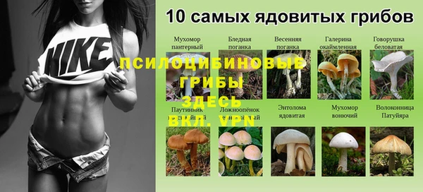 а пвп мука Заводоуковск