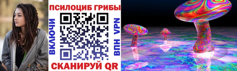 Купить закладки  Вязники  Галлюциногенные грибы Cubensis 
